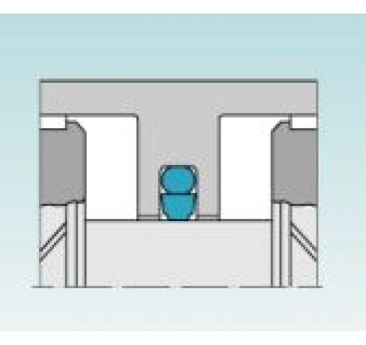 TSS Turcon Glyd Ring® - PG4600900-T24 Online bestellen