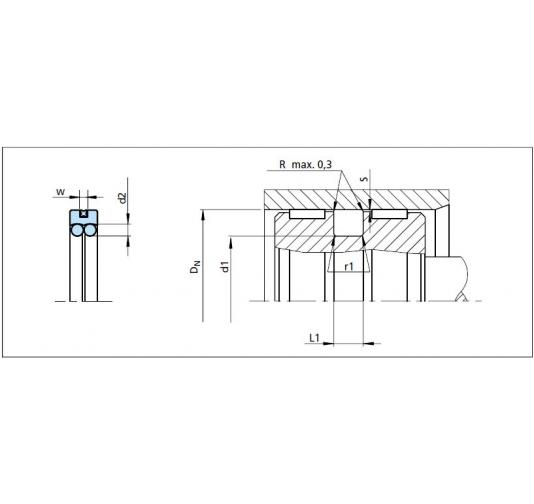 TSS Turcon AQ-Seal® - PQ0303800-T46 Online bestellen