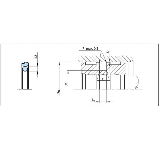 TSS Turcon Stepseal - PSK301900-T46N Online bestellen